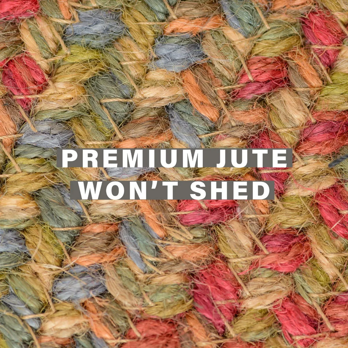 Azalea Multi Color Oval Jute Braided Rug