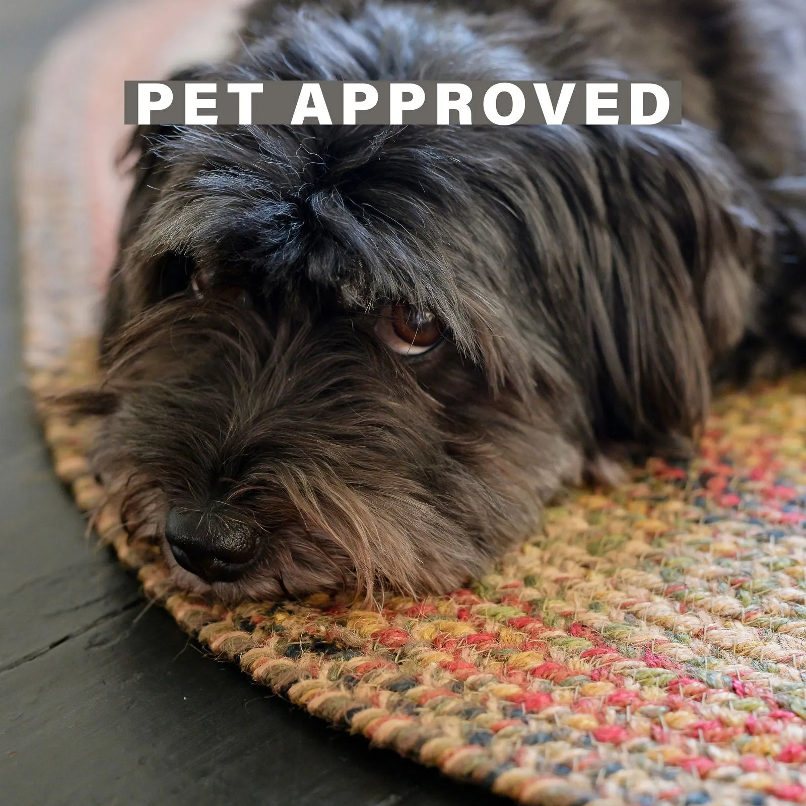 Kingston Multi Color Jute Oval Braided Rugs