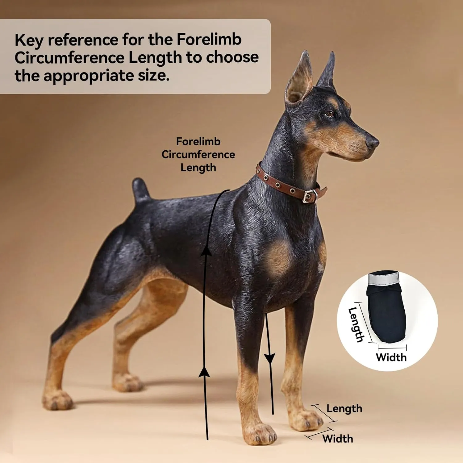 Suspender Boots for Medium Large Dogs, Tall Dog Boots Anti-Slip & Fall Waterproof Dog Shoes Leggings, Adjustable Paws Protector for Dogs Winter Snow Rain Hiking (M)