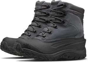 THE NORTH FACE mens Chilkat Iv