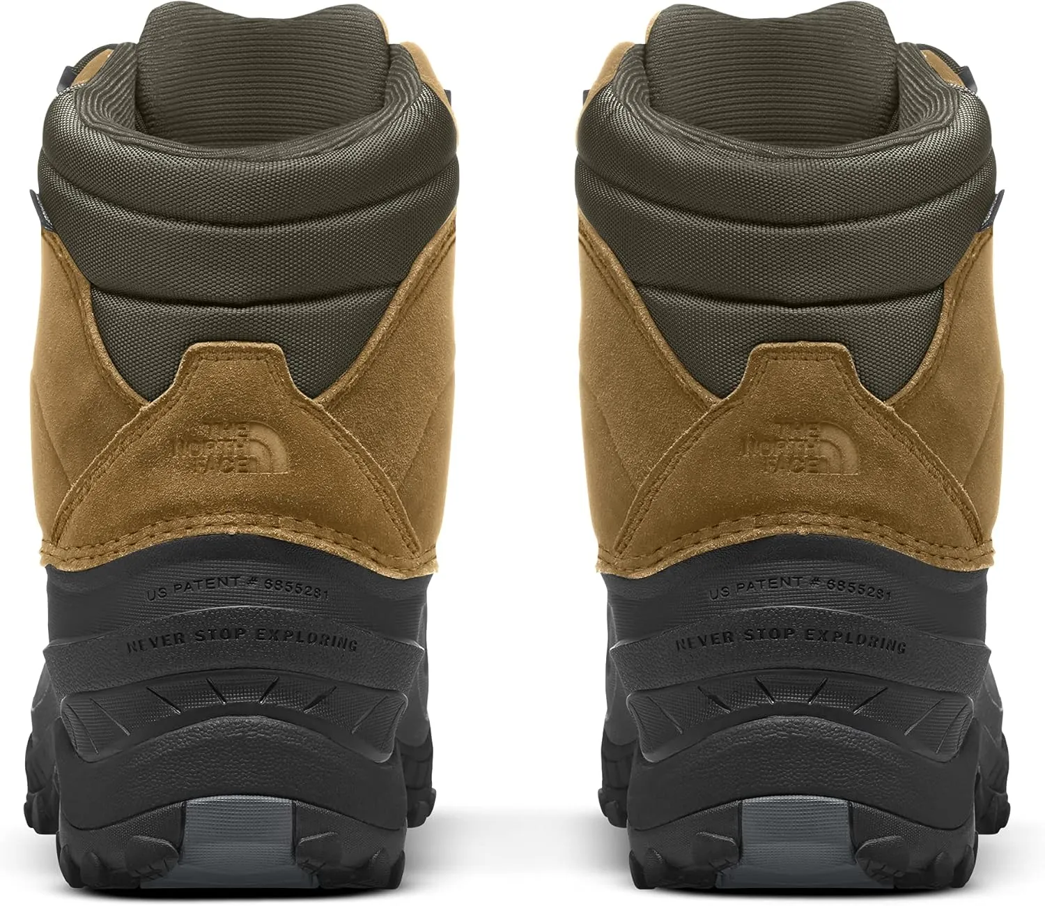 THE NORTH FACE mens Chilkat Iv