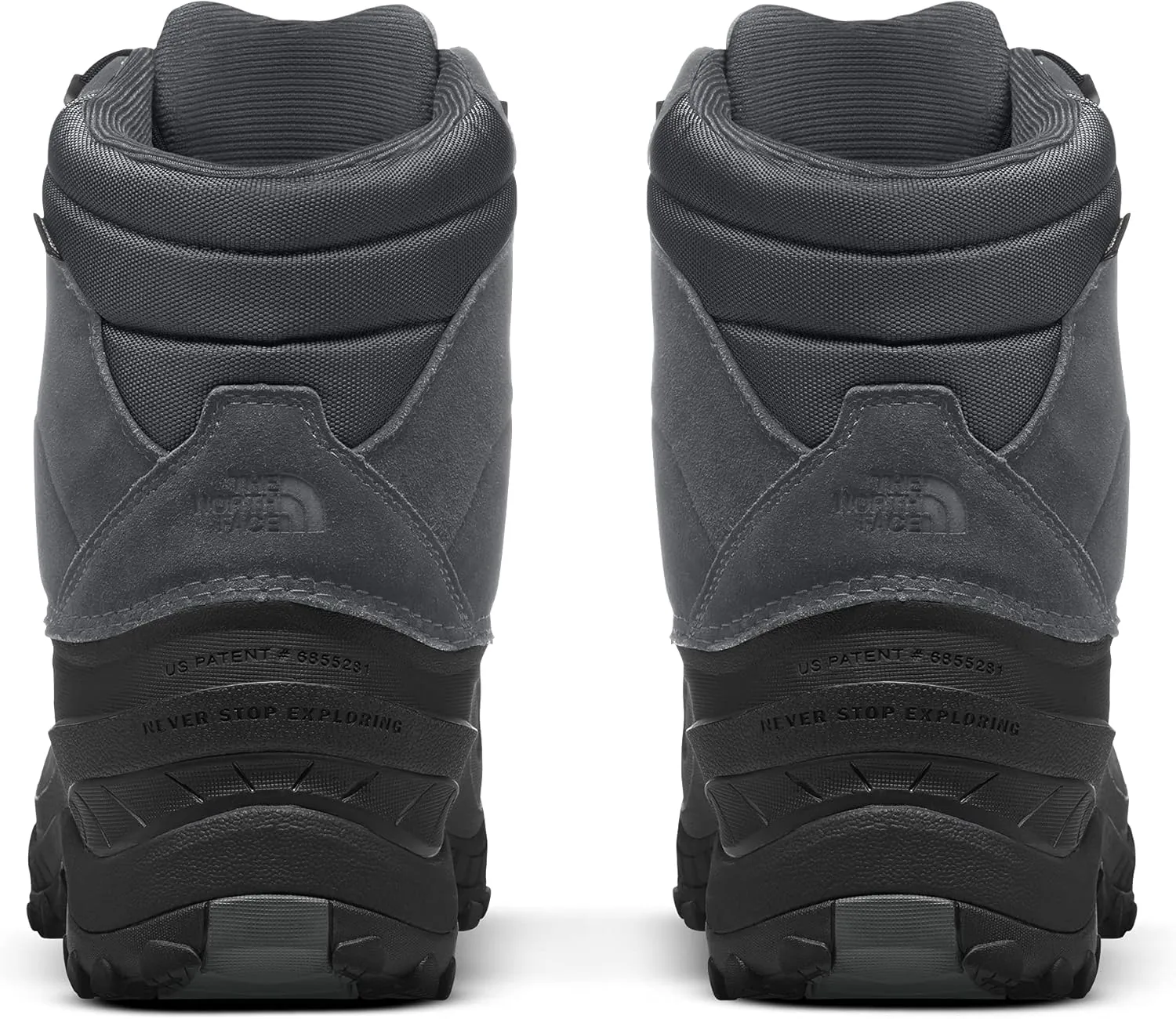 THE NORTH FACE mens Chilkat Iv